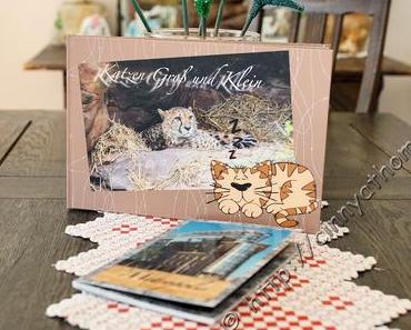 Grosse und kleine Katzen im Fotobuch