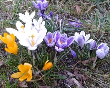 Warum du genau jetzt mit dem Laufen beginnen solltest!