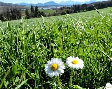 Der Zug der Bequemlichkeit