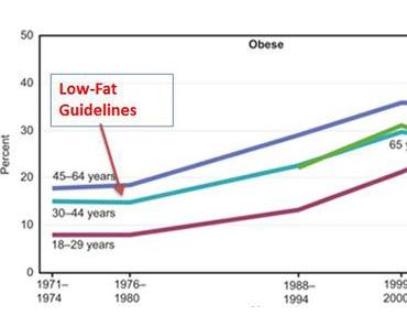 Die 12 Richtlinien der Paleo-Ernährung – Teil 2