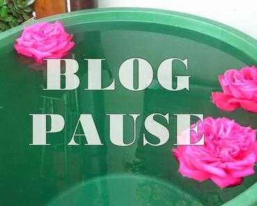 Blogpause