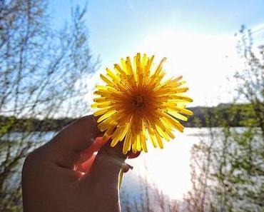 Abendroutine Frühling 2015 und Theater