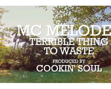 MC Melodee – Terrible Thing to Waste