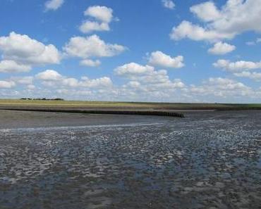 [View back 2012] Nordstrand an der Nordsee