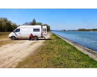 Oberrhein: zottlige Kerle mit ohne Kougelhopf