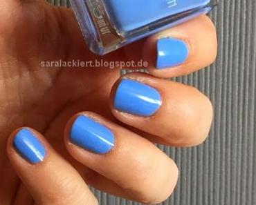 EVAGARDEN - Plumbago (710)