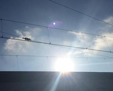 Der erste Abschied, das Pendeln und “wo ist mein Zuhause?”