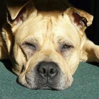 6 Tipps sich zu motivieren wenn du faul bist