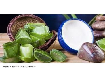 Überblick – Aloe Vera Barbadensis Miller