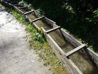 Gitagot? Fasnachtsschnitta?