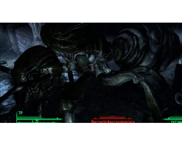 Die Ameisenkönigin [Fallout 3 #040]