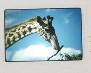 Mixtape: Said sur la place – N°2