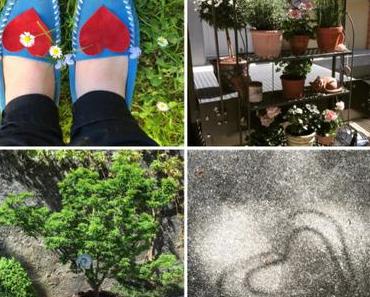 Das war der Mai {according to my Instagram Pictures}